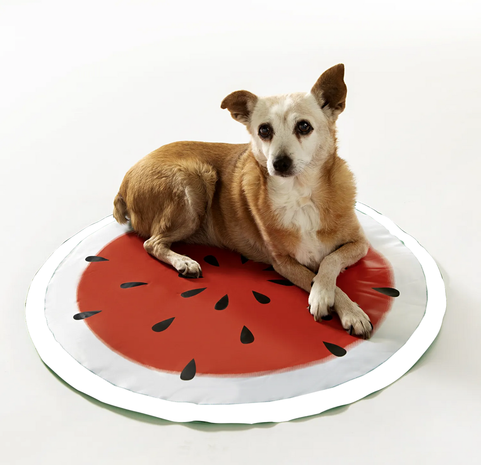 Hunde Kühlmatte Melone – Hund liegt auf runder Kühlunterlage im Wassermelonen-Design für heiße Tage